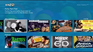 https___image.roku_.com_developer_channels_prod_0d8170348aebb3d7becdb8f2dcf5ab5d9e8e32058b1d7efc1d97ef476dd56534-768x436